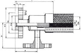 Bauform DS - Doppelschlauchleitung | Maßzeichnung